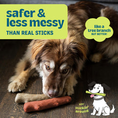 Pupstages Dogwood Mesquite Chew Mesquite flavor adds tasty variety for engaged chewing sessions.