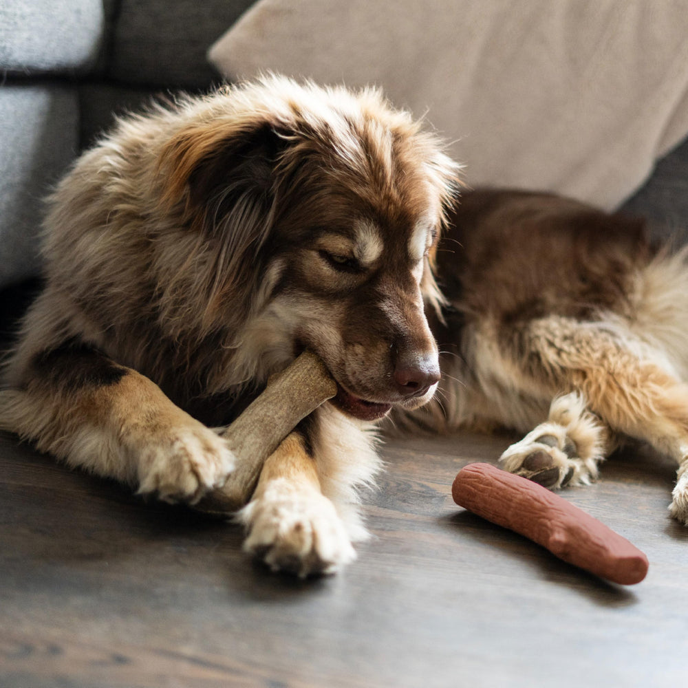Pupstages Dogwood Mesquite Chew USA Made highlights domestic materials and safety standards.