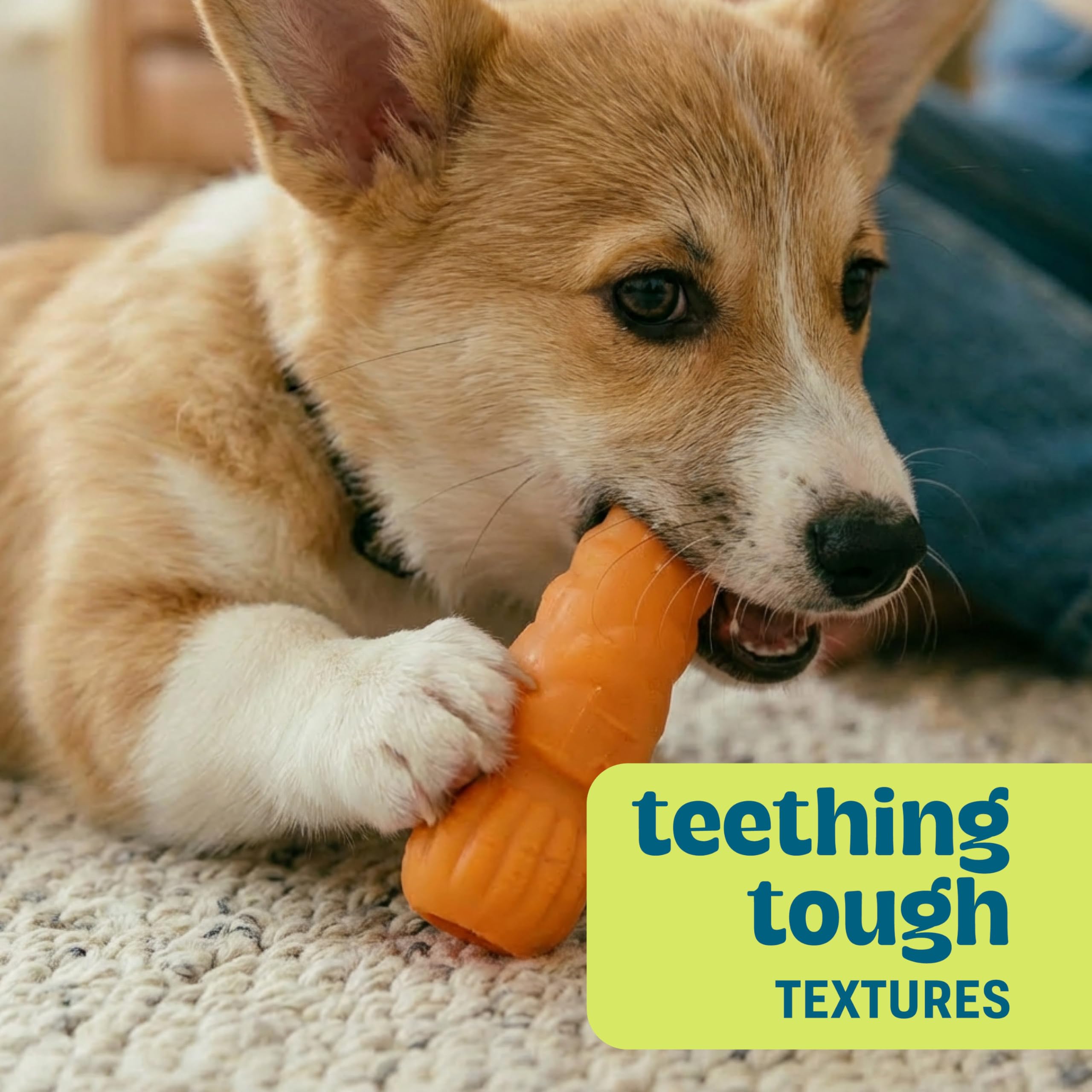 Pupstages Flex-Force veggie chew toy showing varied textures.