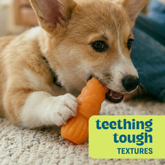 Pupstages Flex-Force veggie chew toy showing varied textures.