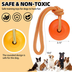 PUPTECK 2-pack fetch balls with rope handles for interactive tug and throw games.