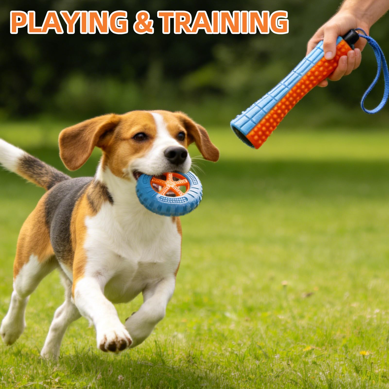 PUPTECK 4-in-1 set offers variety for dogs.