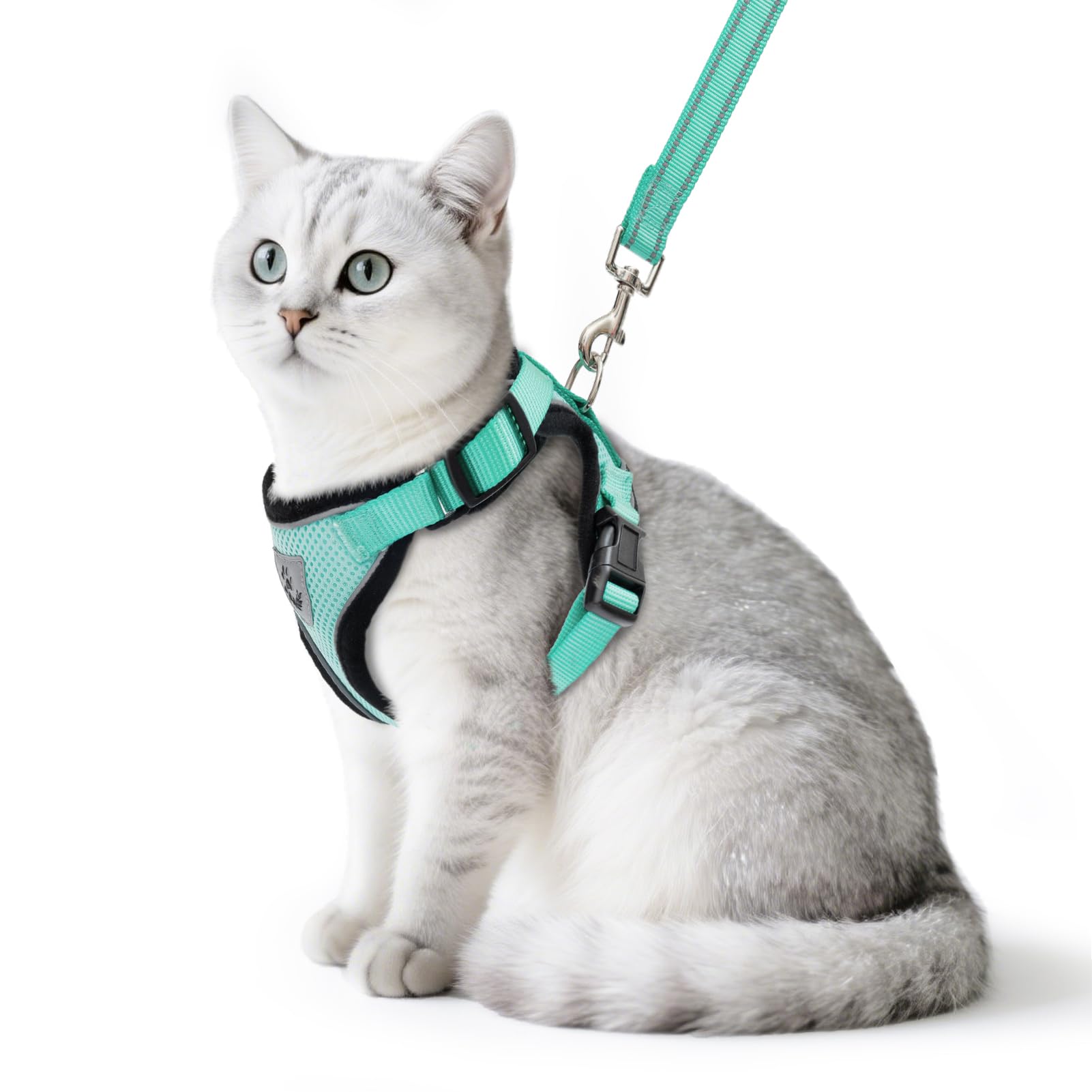 PUPTECK cat harness aquamarine on cat for comfortable daily walks