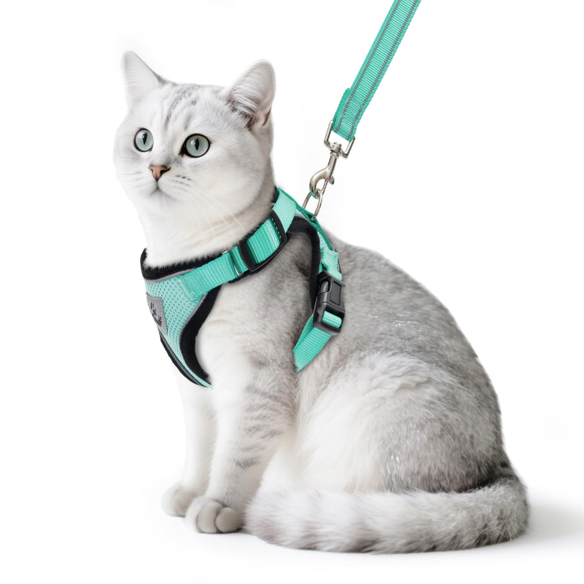 PUPTECK cat harness aquamarine on cat for comfortable daily walks