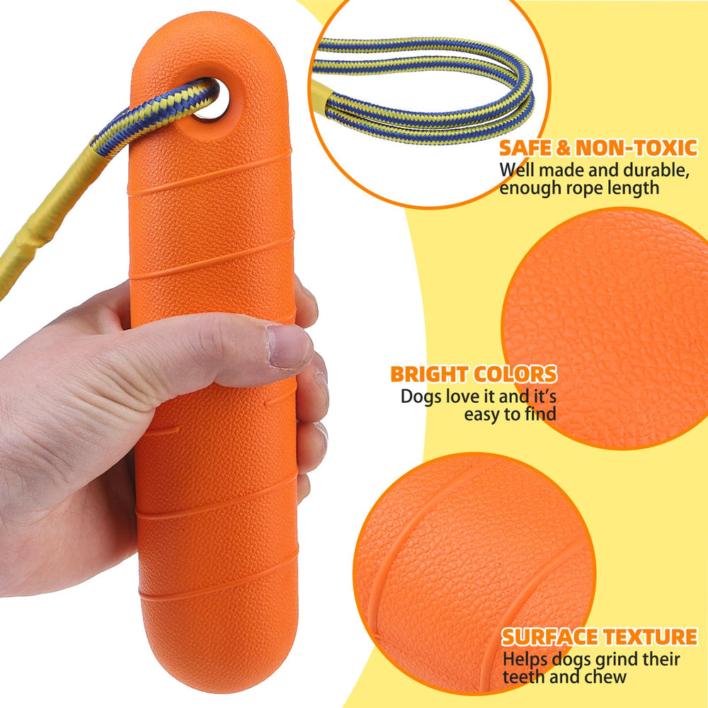 PUPTECK dock-diving style toy for water-based fetch training