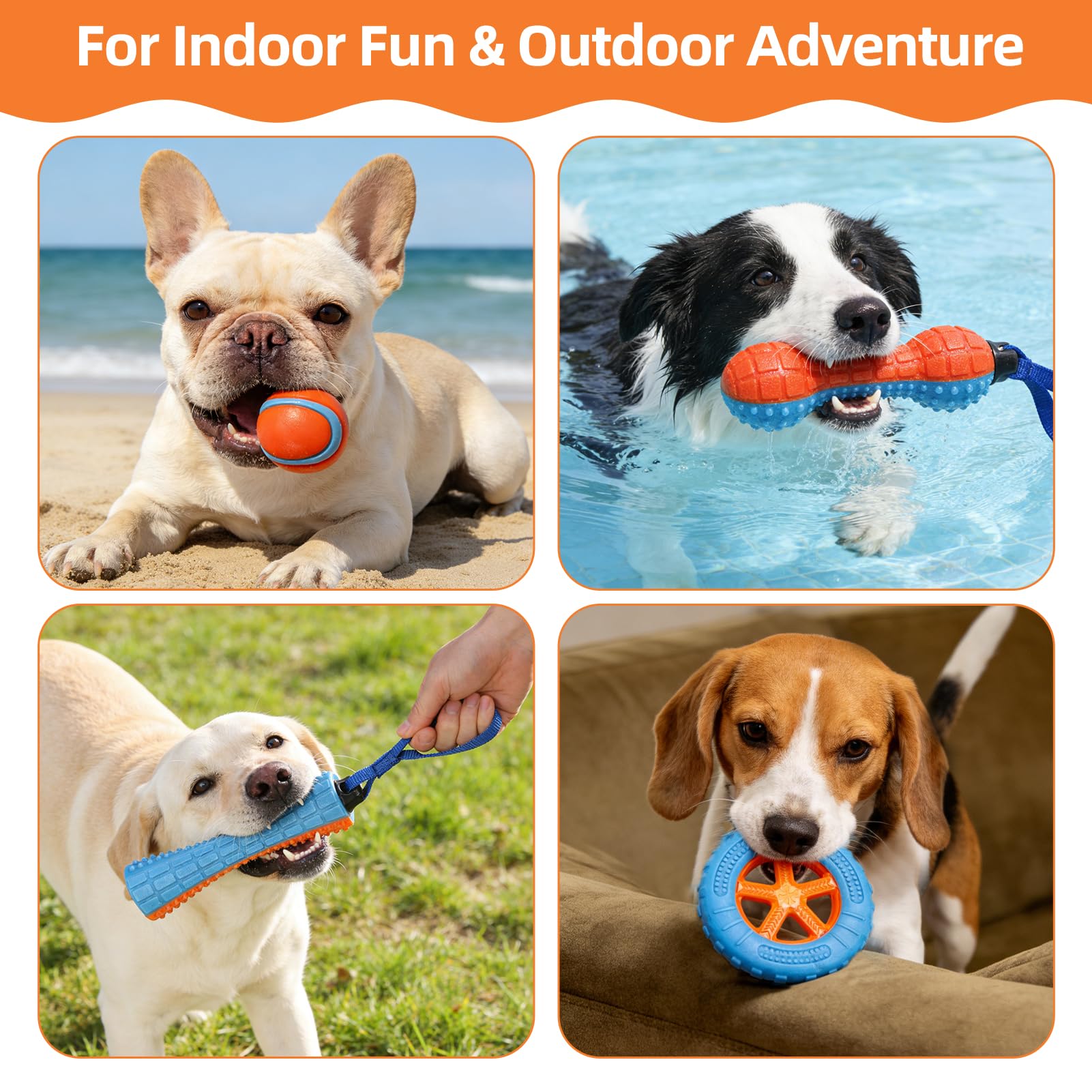 PUPTECK ideal for multi-dog homes with water play.