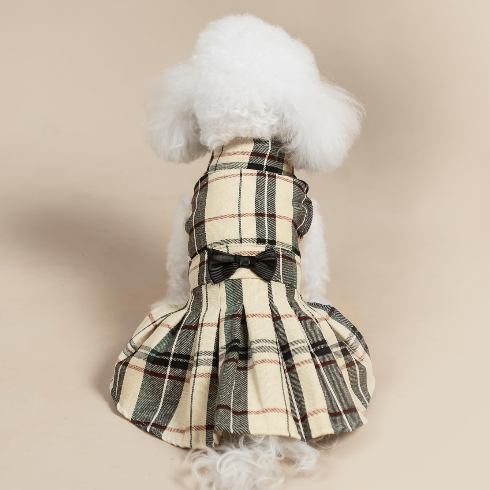 PUPTECK Dress worn by a small dog for a cute everyday look.