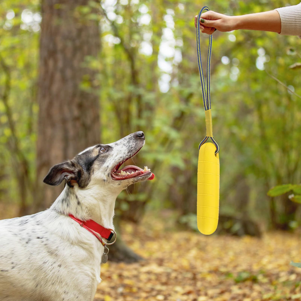 PUPTECK durable training toy with strong rope for extended sessions