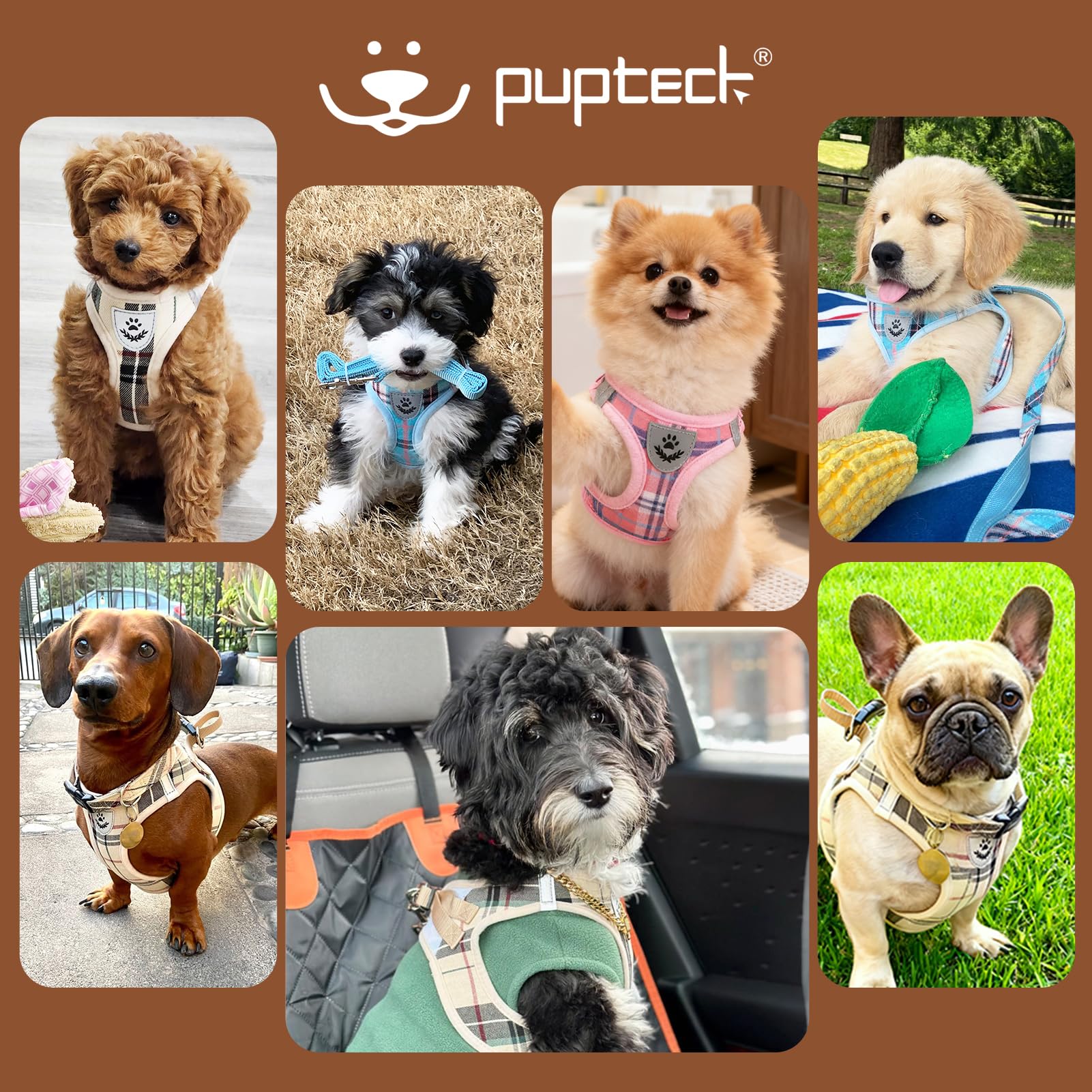 PUPTECK four-season beige harness suitable for year-round walks