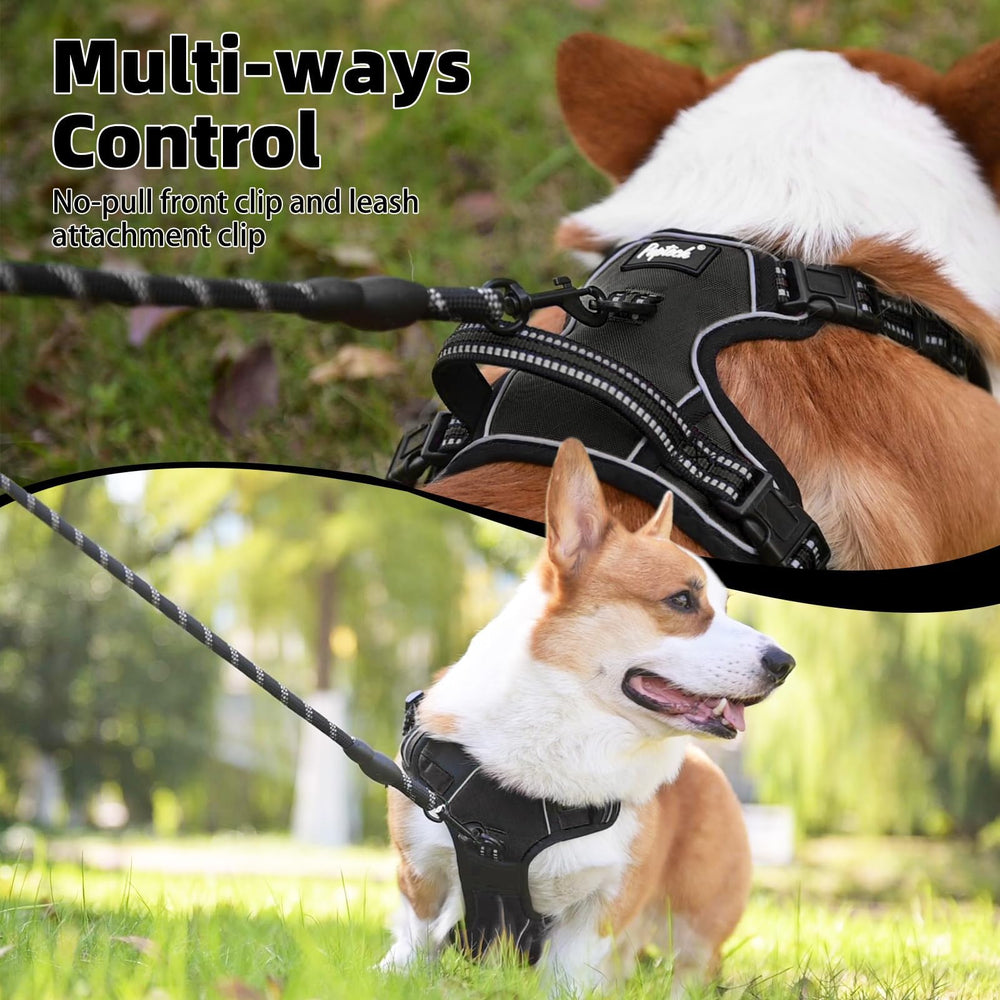 PUPTECK Harness with reflective strips improves night visibility.