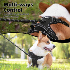 PUPTECK Harness with reflective strips improves night visibility.