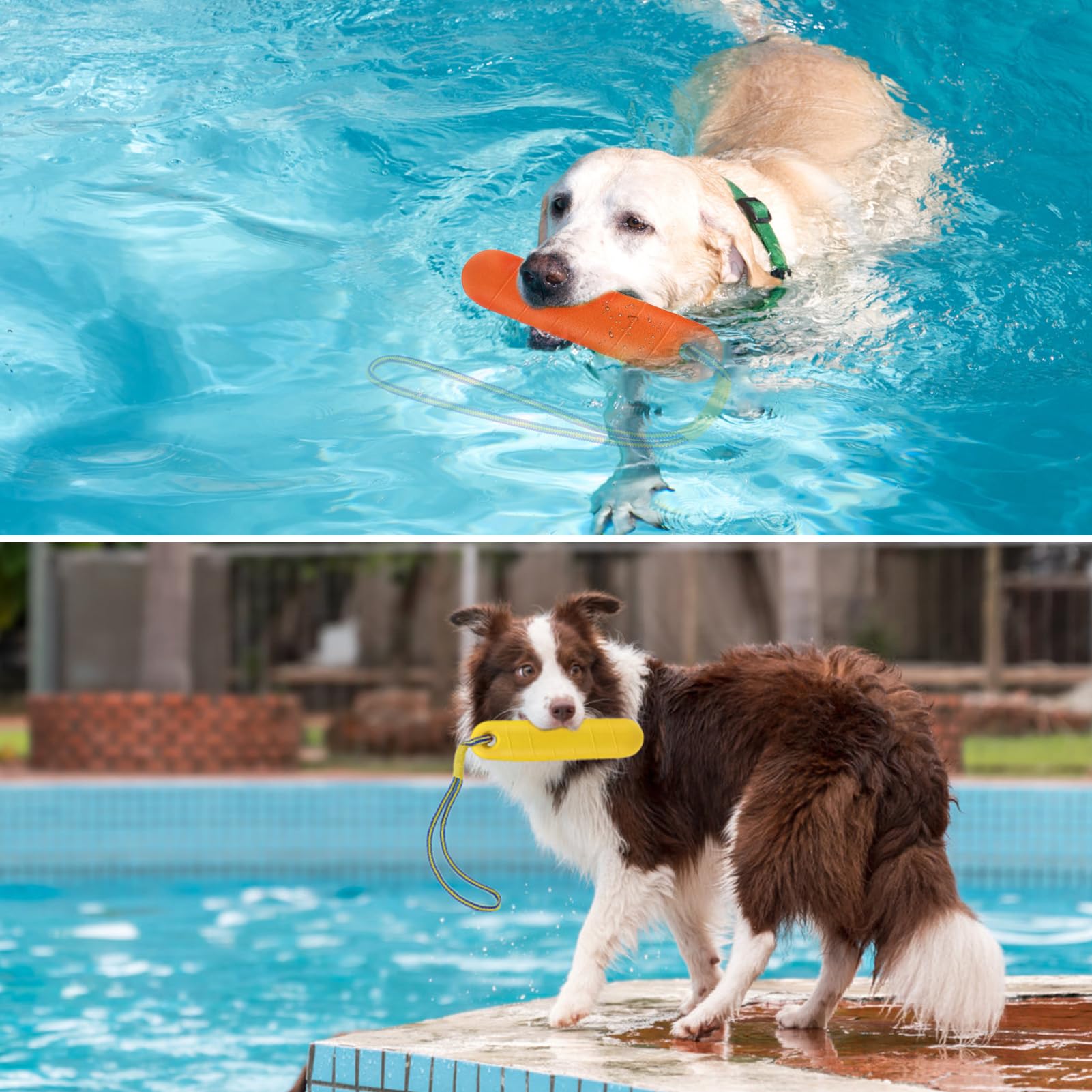 PUPTECK land-training toy with rope for commands and speed drills
