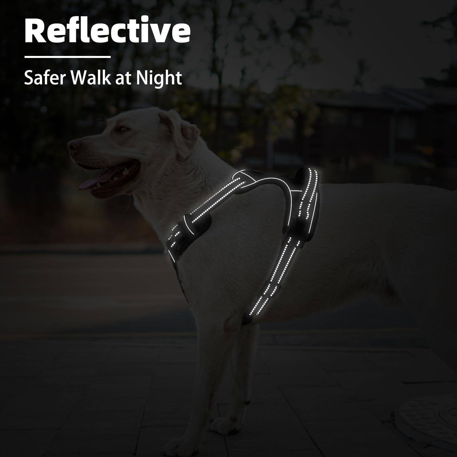 PUPTECK Large dog harness suited for walks, training, and car rides.