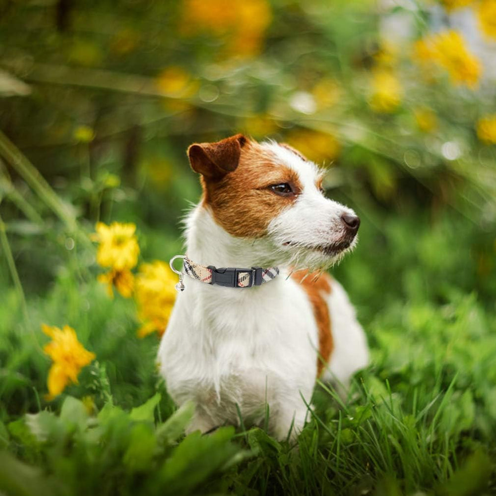 PUPTECK no-pull design reduces neck strain during walks.
