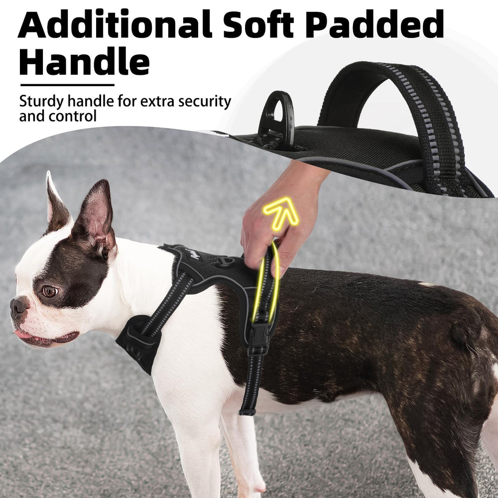 PUPTECK No Pull Harness back D-ring for calm, controlled movement.