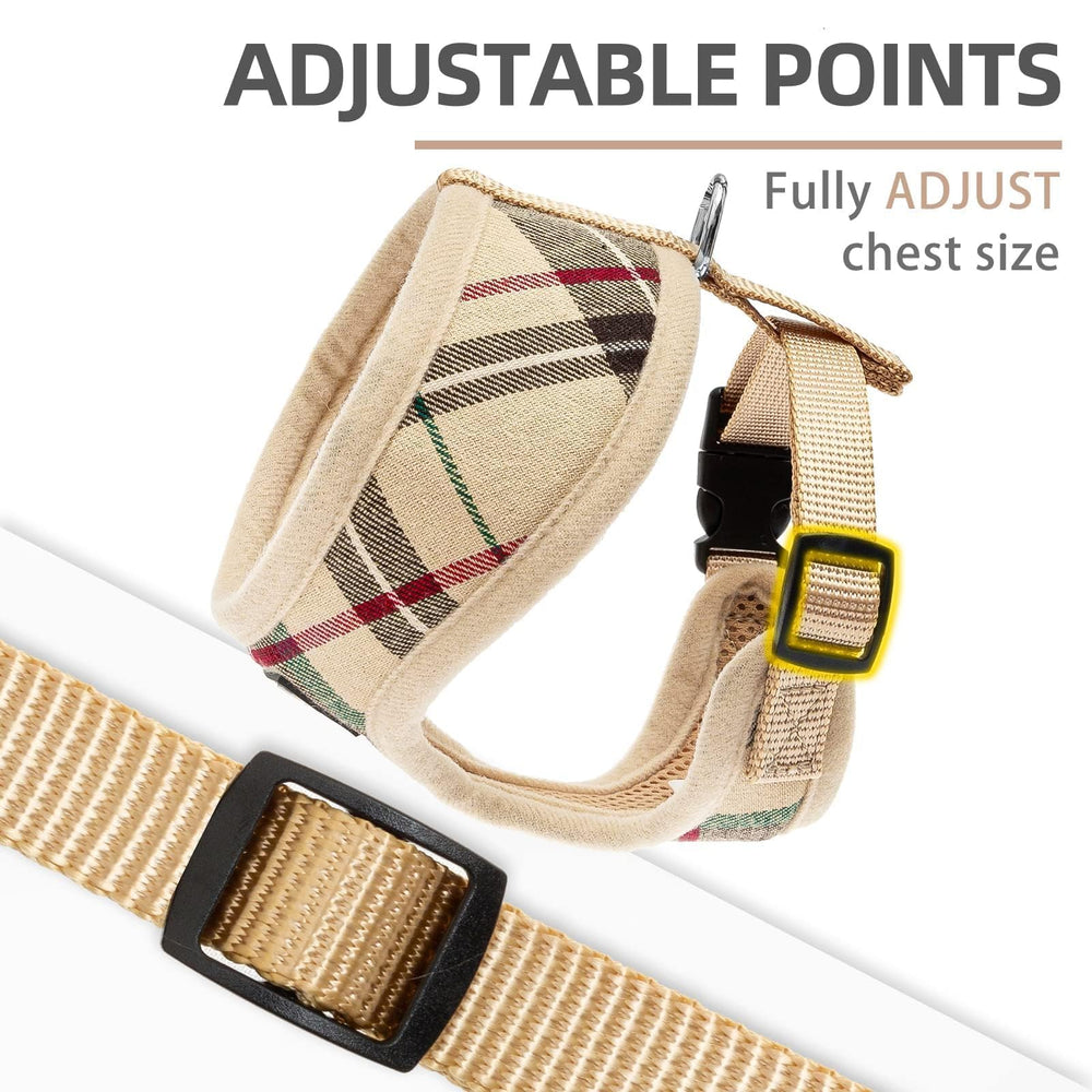 PUPTECK no-pull harness with D-ring attachment for secure control