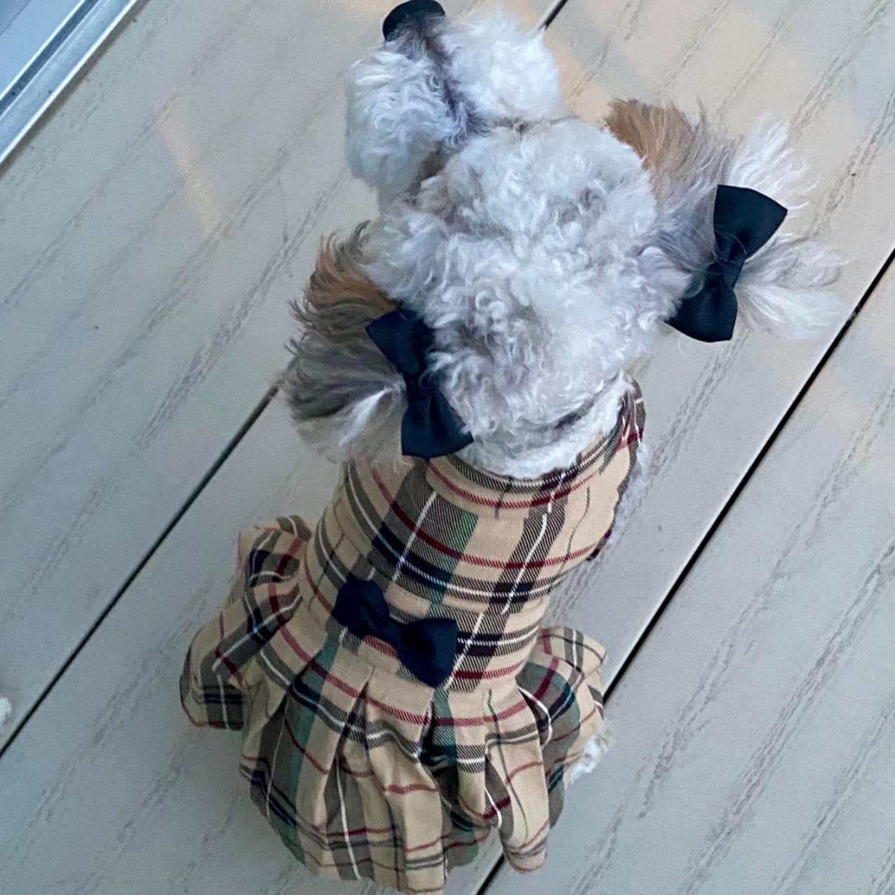 PUPTECK Plaid dress fabric is breathable and comfortable for pets.