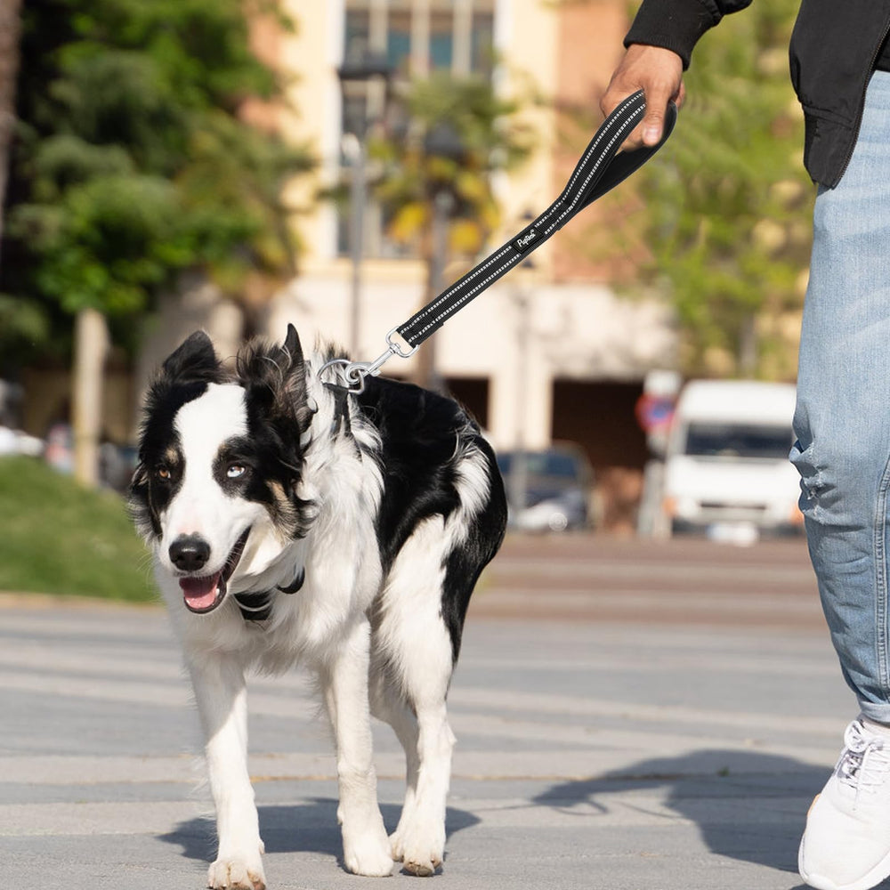 PUPTECK reflective leash close up metal clip for secure attachment.