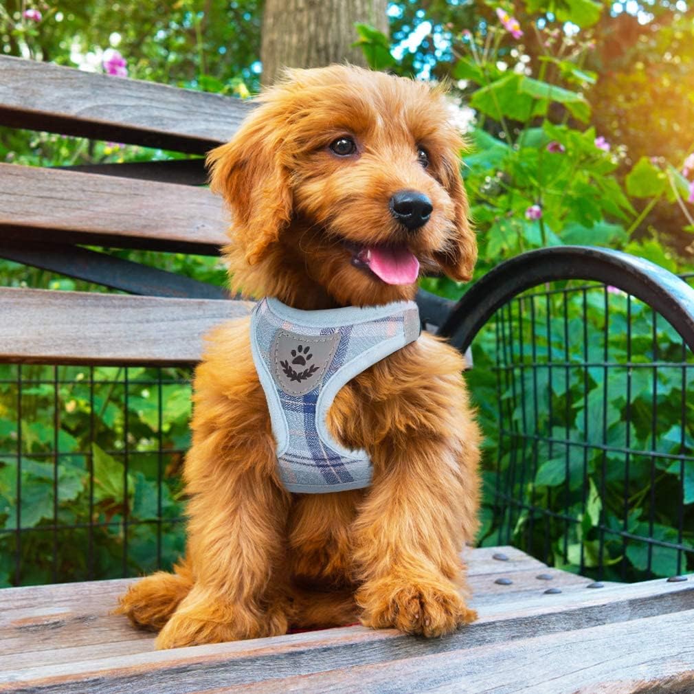 PUPTECK size guide helps you find the perfect fit for your pet.
