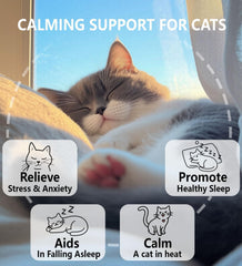 PuPulse Calming Drops bottle pour demonstrates simple dosing for anxious felines.