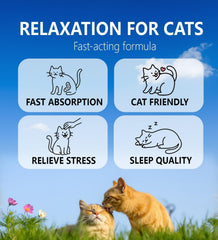 PuPulse Calming Drops use during separation anxiety scenario signals comfort potential.