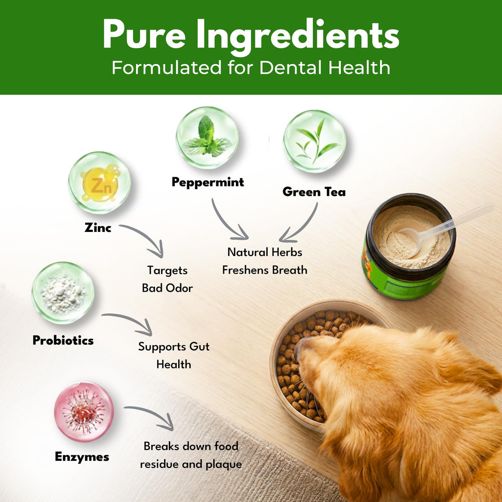 Pupzle no-brushing usage scene showing easy daily dental routine for dogs
