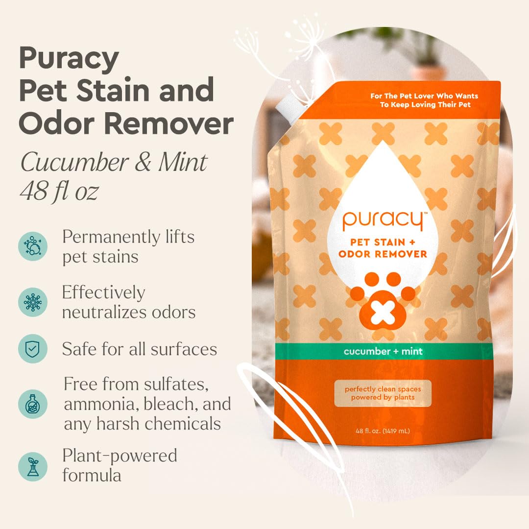 Puracy cleaner applied to carpet fibers shows stain removal action.