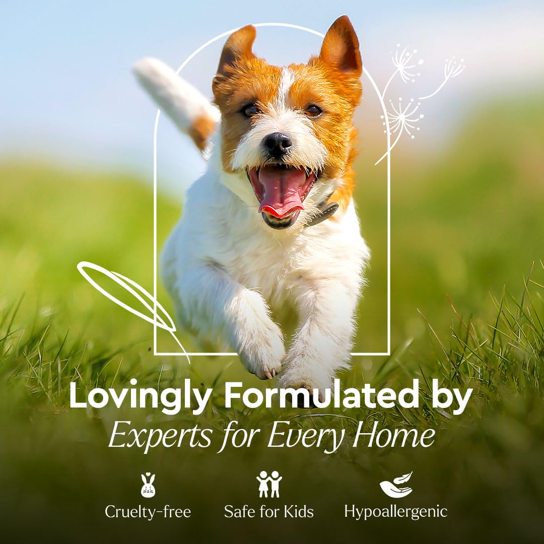 Puracy Pet Stain and Odor Remover with cucumber mint scent freshens spaces.