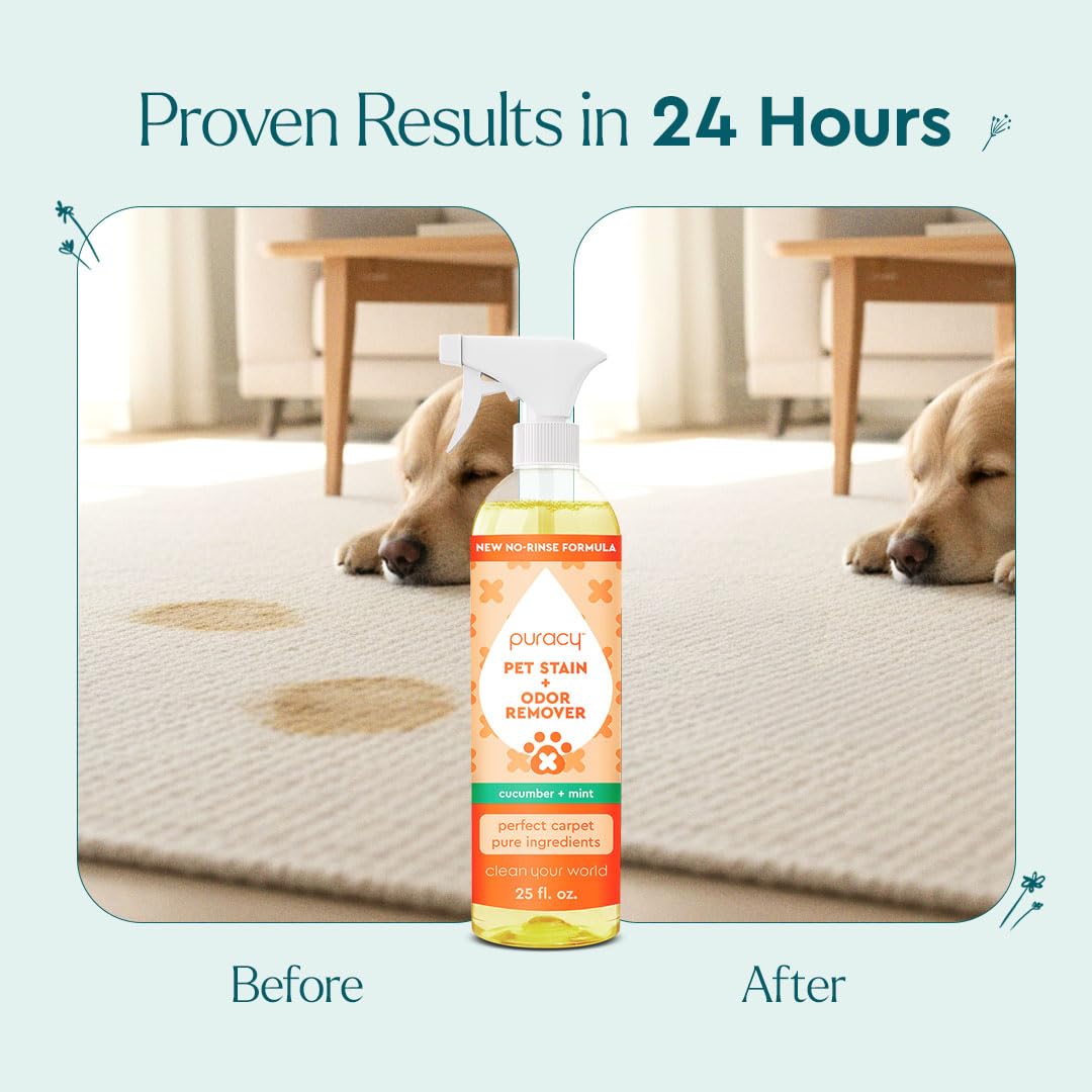 Puracy label close-up highlights a plant-based, enzyme cleaning formula.