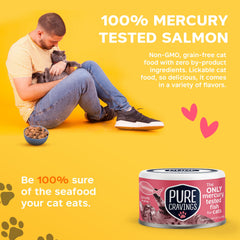 Pure Cravings cat food gravy texture closeup shows moisture and flavor.