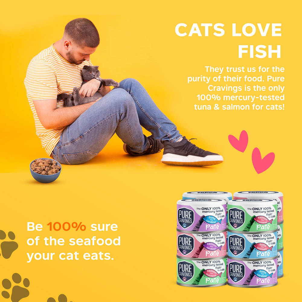 Pure Cravings Pate Salmon-Sardine serving blends omega-3 richness for pets