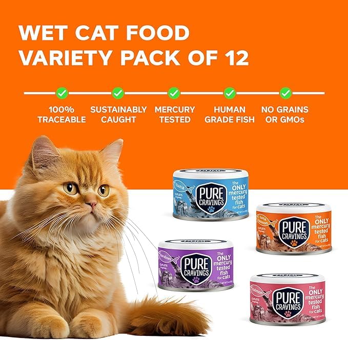 Pure Cravings salmon flavor wet cat food can, rich aroma attracts cats during meals