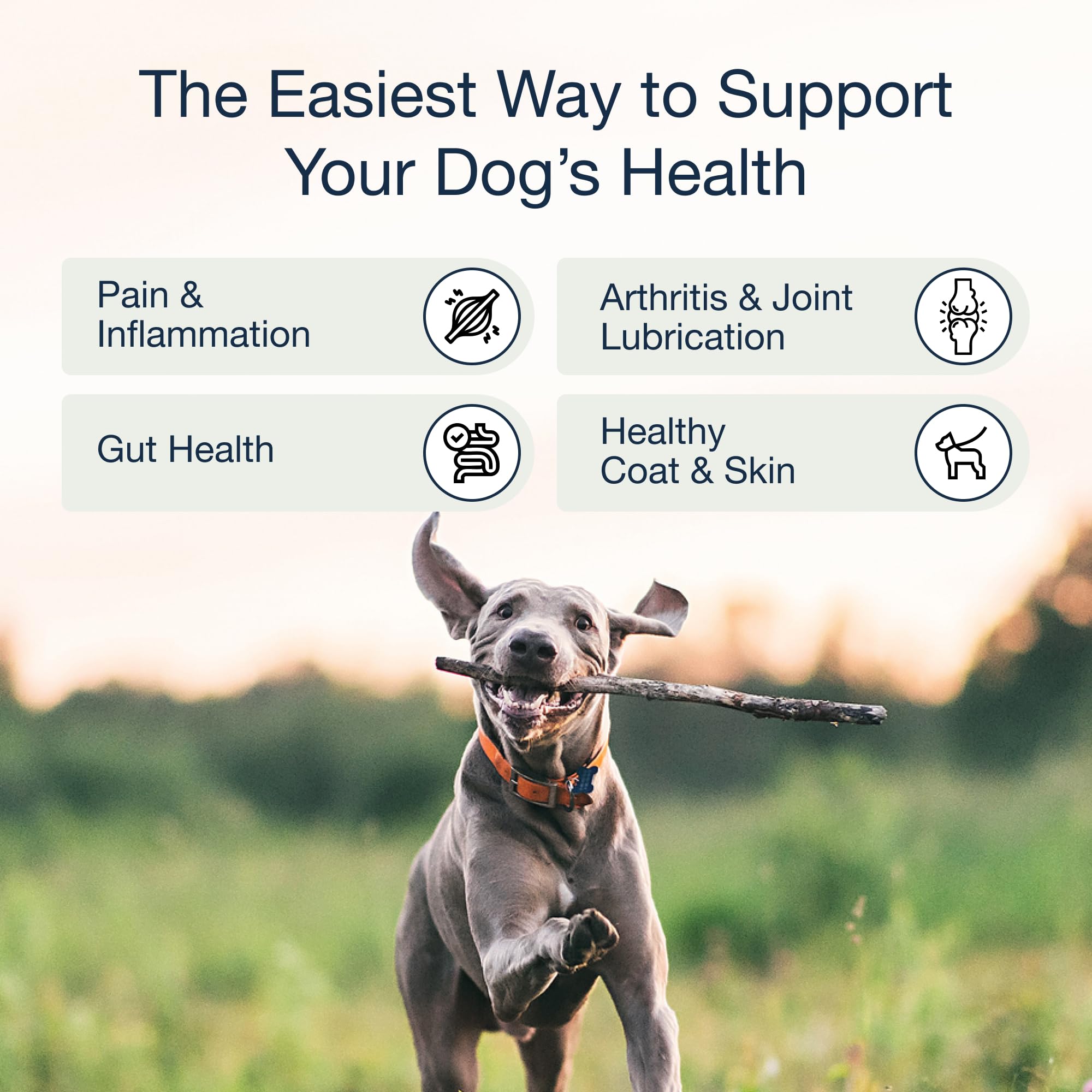 Pure Dogs Hip & Joint chews bacon flavor aroma aids palatability.
