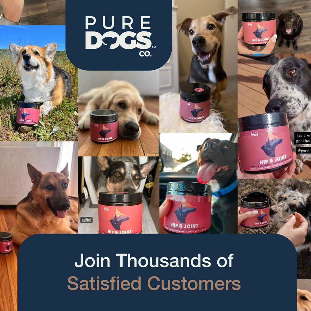 Pure Dogs Hip & Joint chews GMP facility badge guarantees quality.