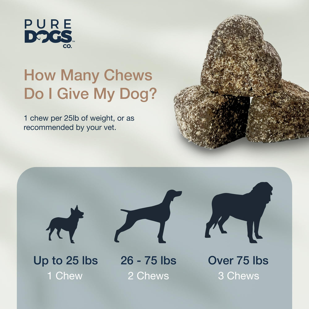 Pure Dogs Hip & Joint chews large breed dog enjoying treat.