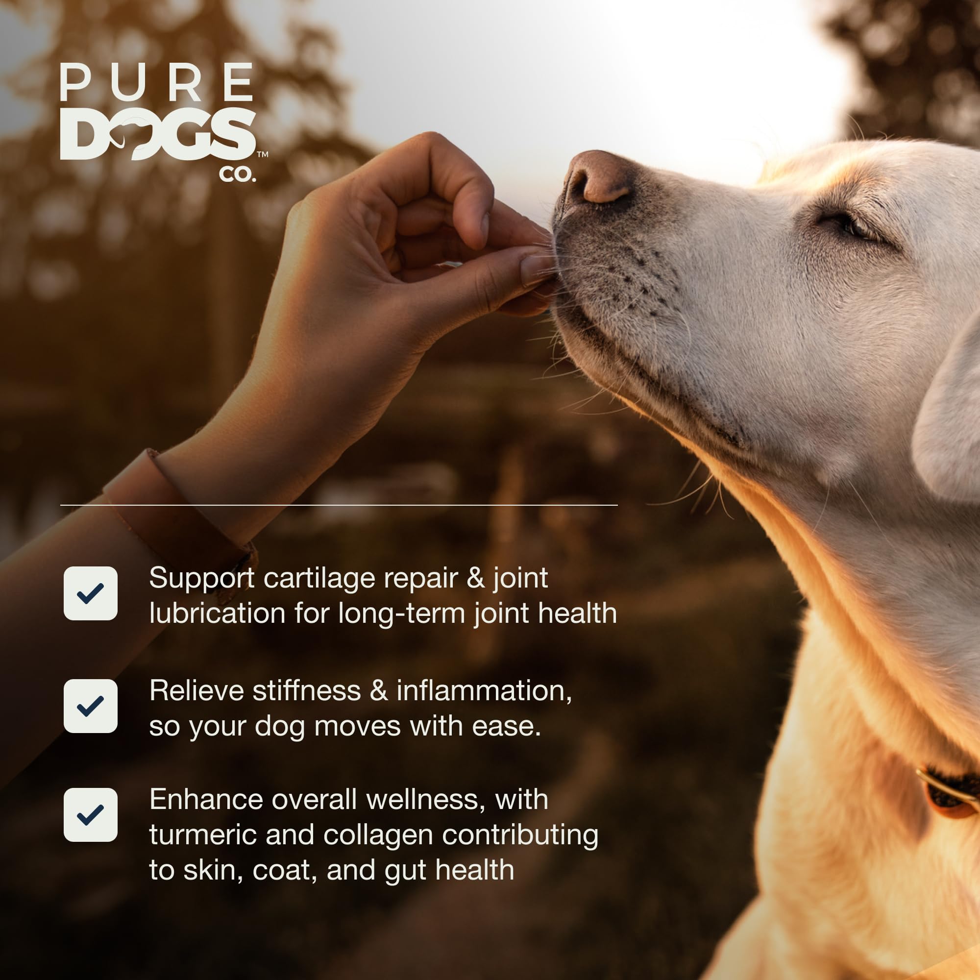 Pure Dogs Hip & Joint chews small breed-friendly packaging for versatile use.