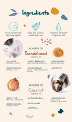 Pure + Good pet shampoo foam close-up highlighting rich lather.