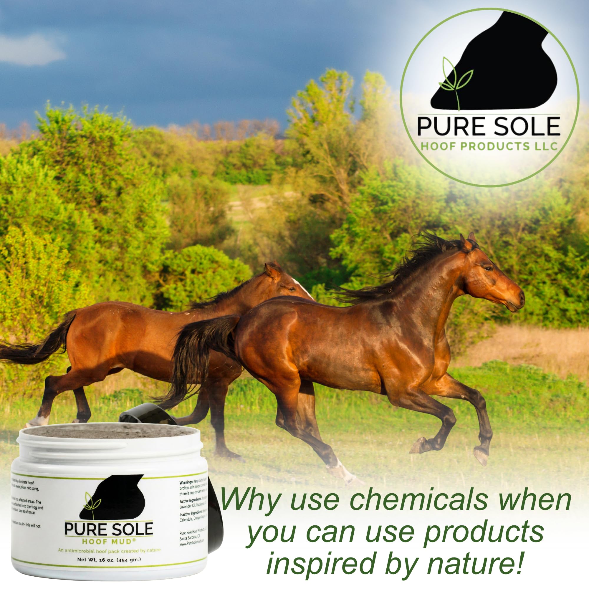 Pure Sole farrier-tested formula highlighted, trusted by hoof care pros.