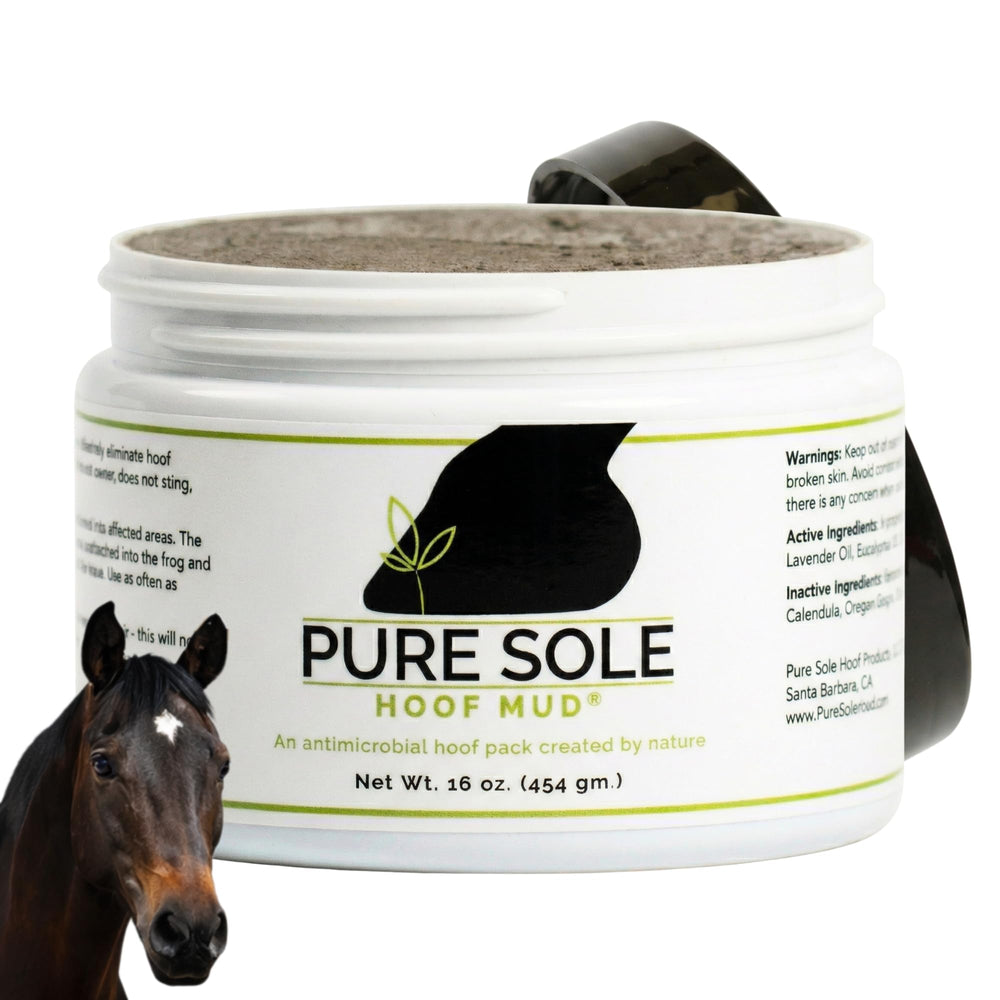 Pure Sole Hoof Mud application shows easy spreading for routine hoof care.