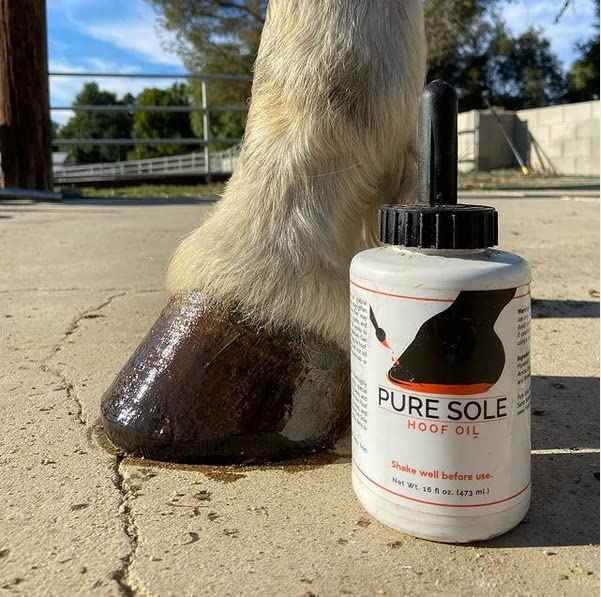 Dry weather hoof care balanced with Pure Sole Hoof Oil moisture