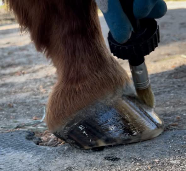 Natural ingredients label on Pure Sole Hoof Oil
