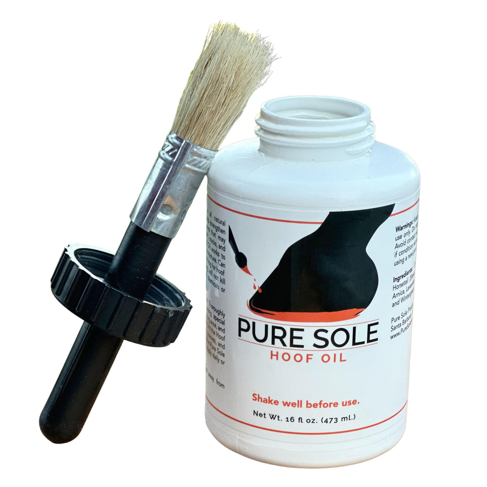 Hoof with show-ring shine after using Pure Sole Hoof Oil
