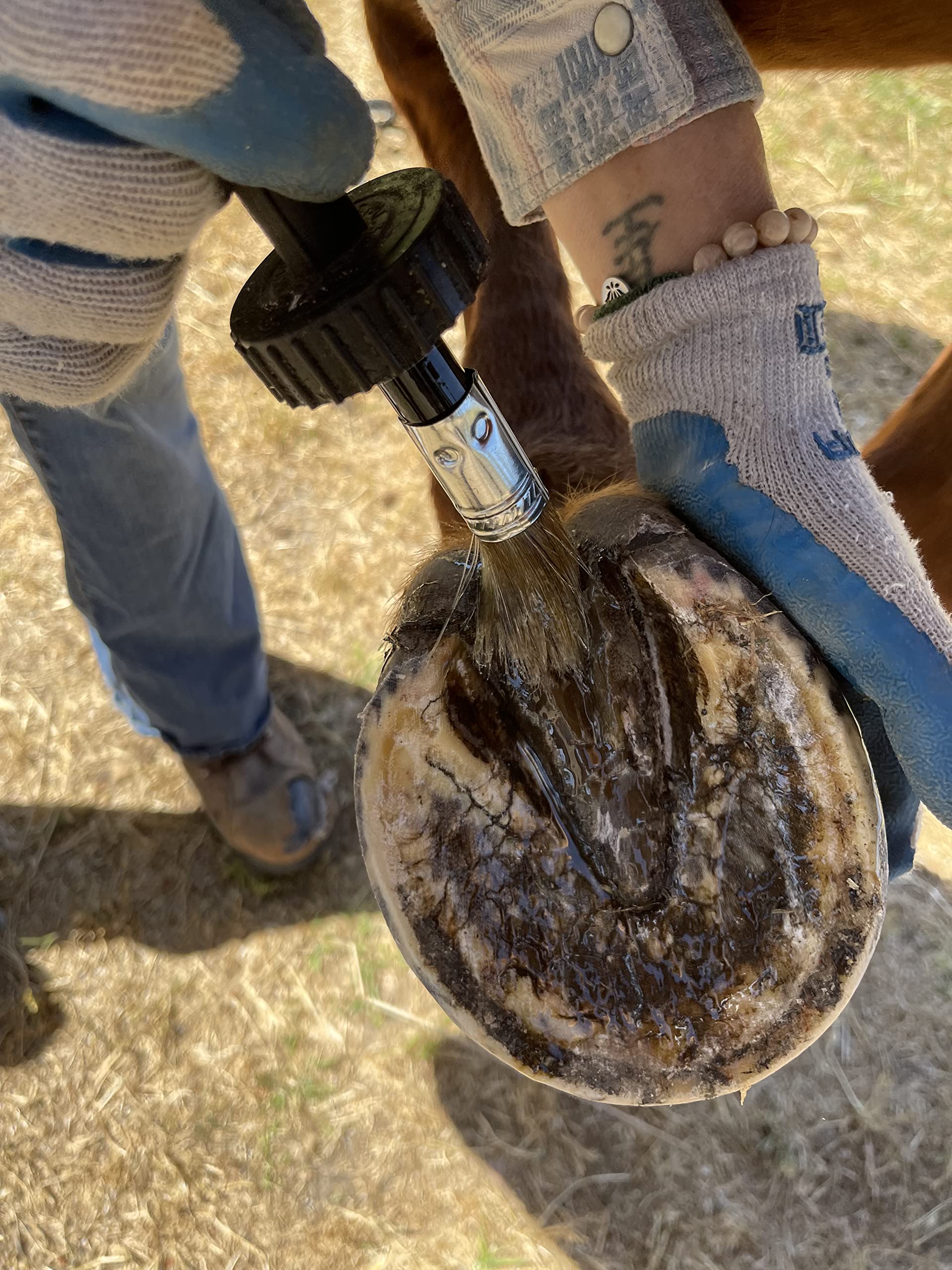 Tack room setup featuring Pure Sole Hoof Oil for daily use