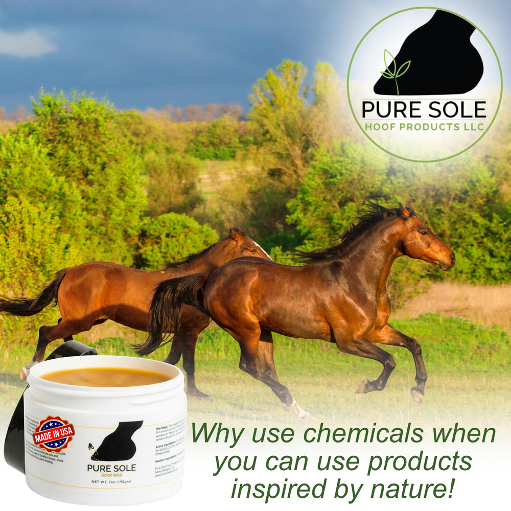 Pure Sole Hoof Wax over nail holes after shoeing for a clean finish.