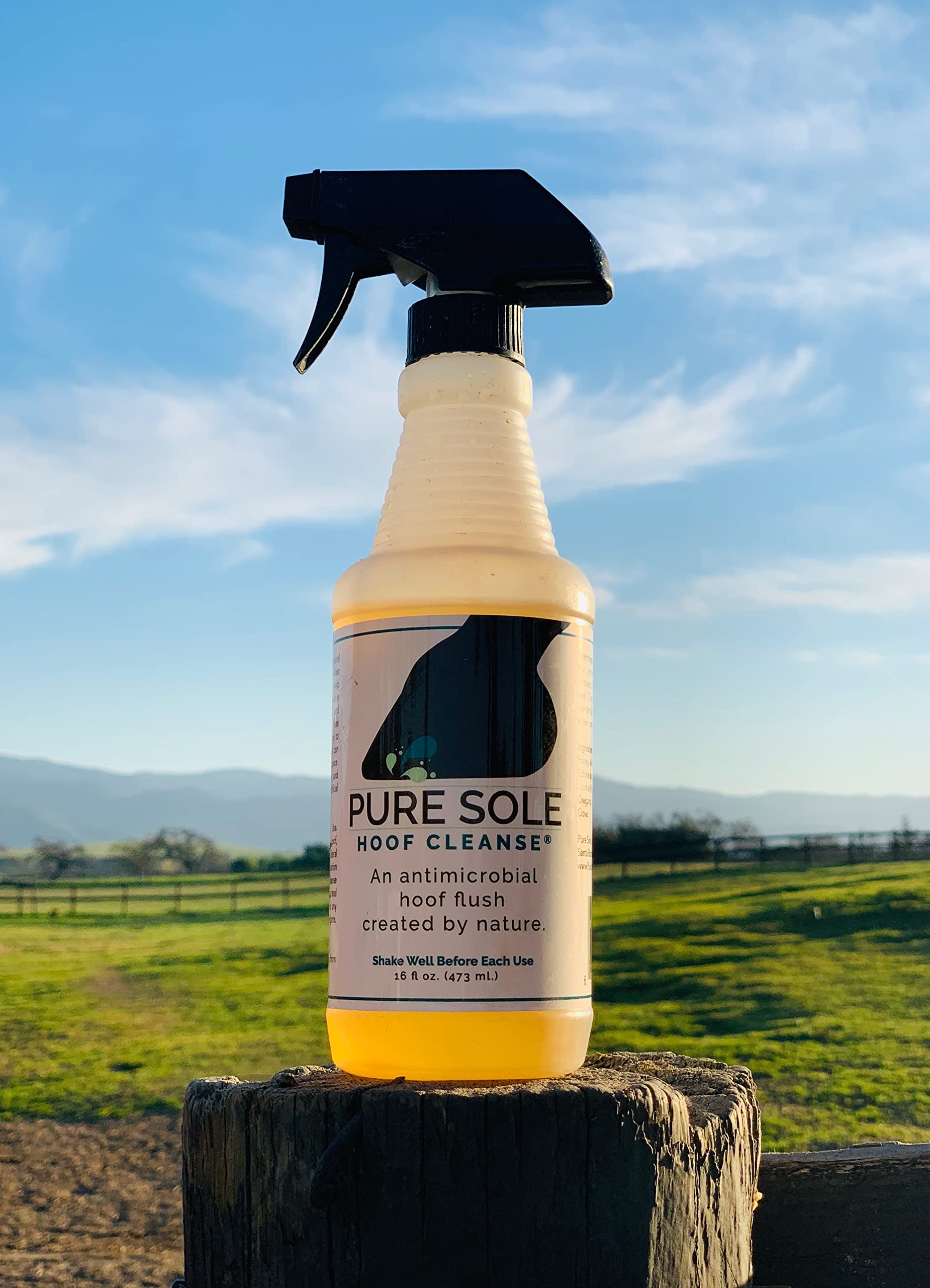 Farrier uses Pure Sole Thrush Spray in routine hoof maintenance