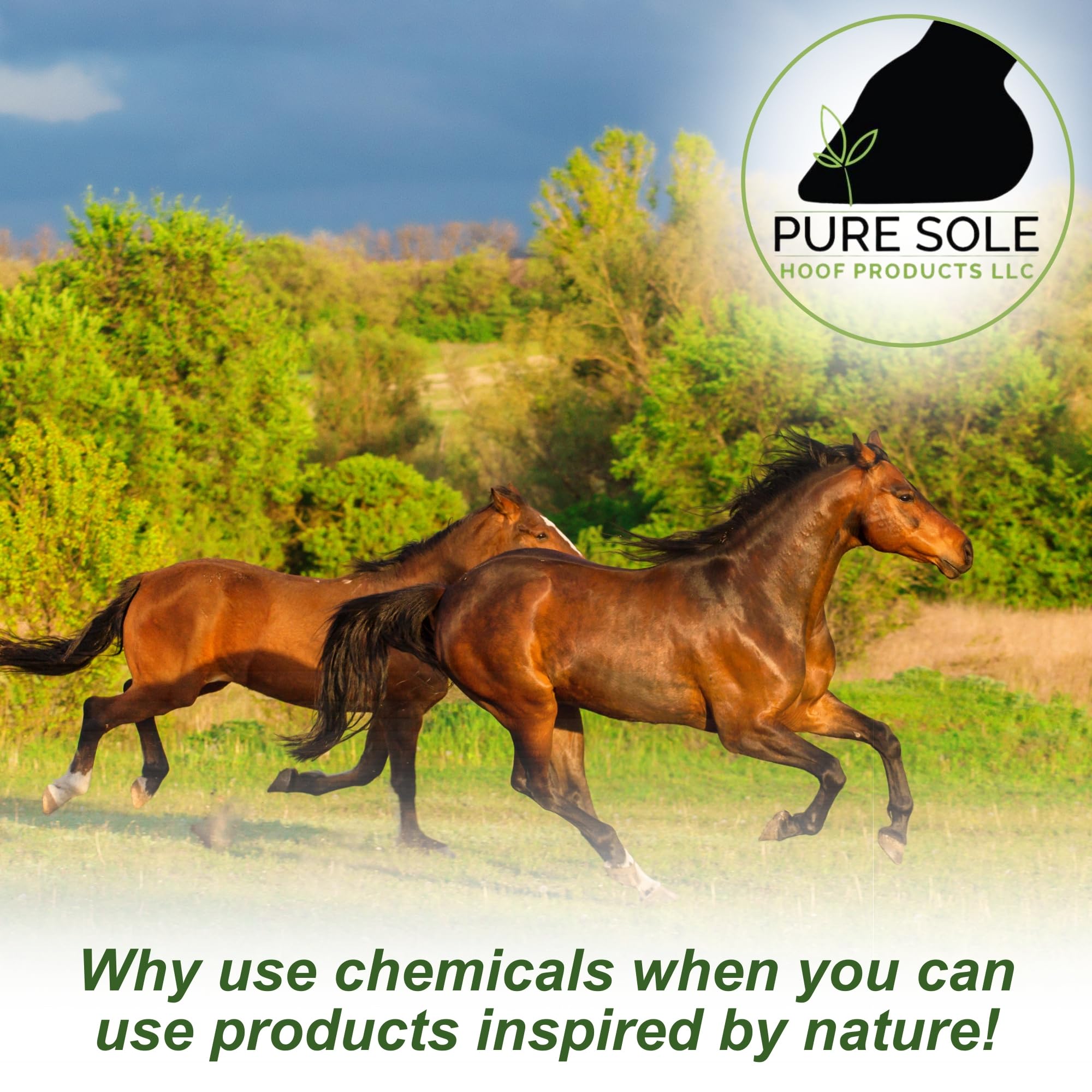 Pure Sole Thrush Spray features natural ingredients for hoof care