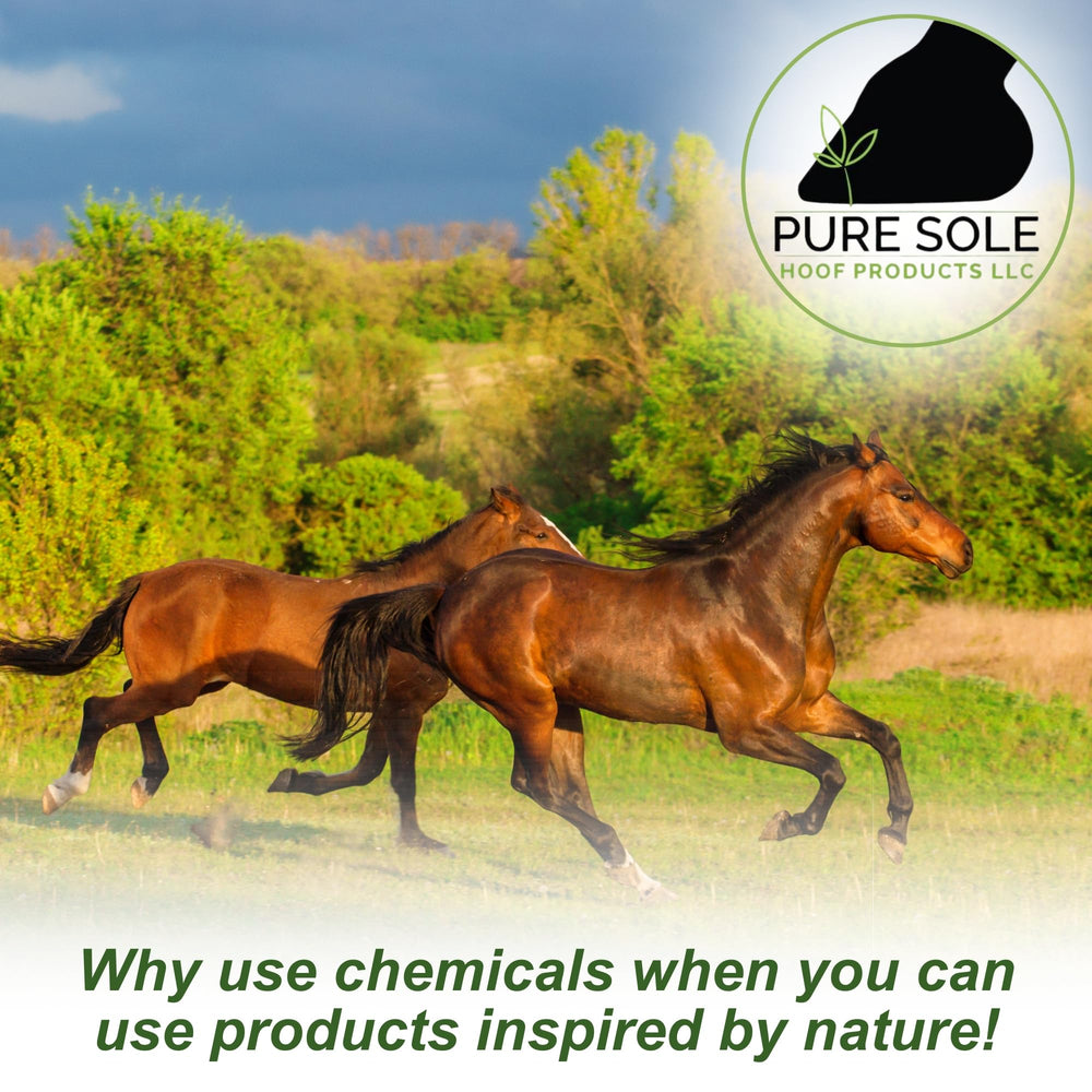 Pure Sole Thrush Spray features natural ingredients for hoof care