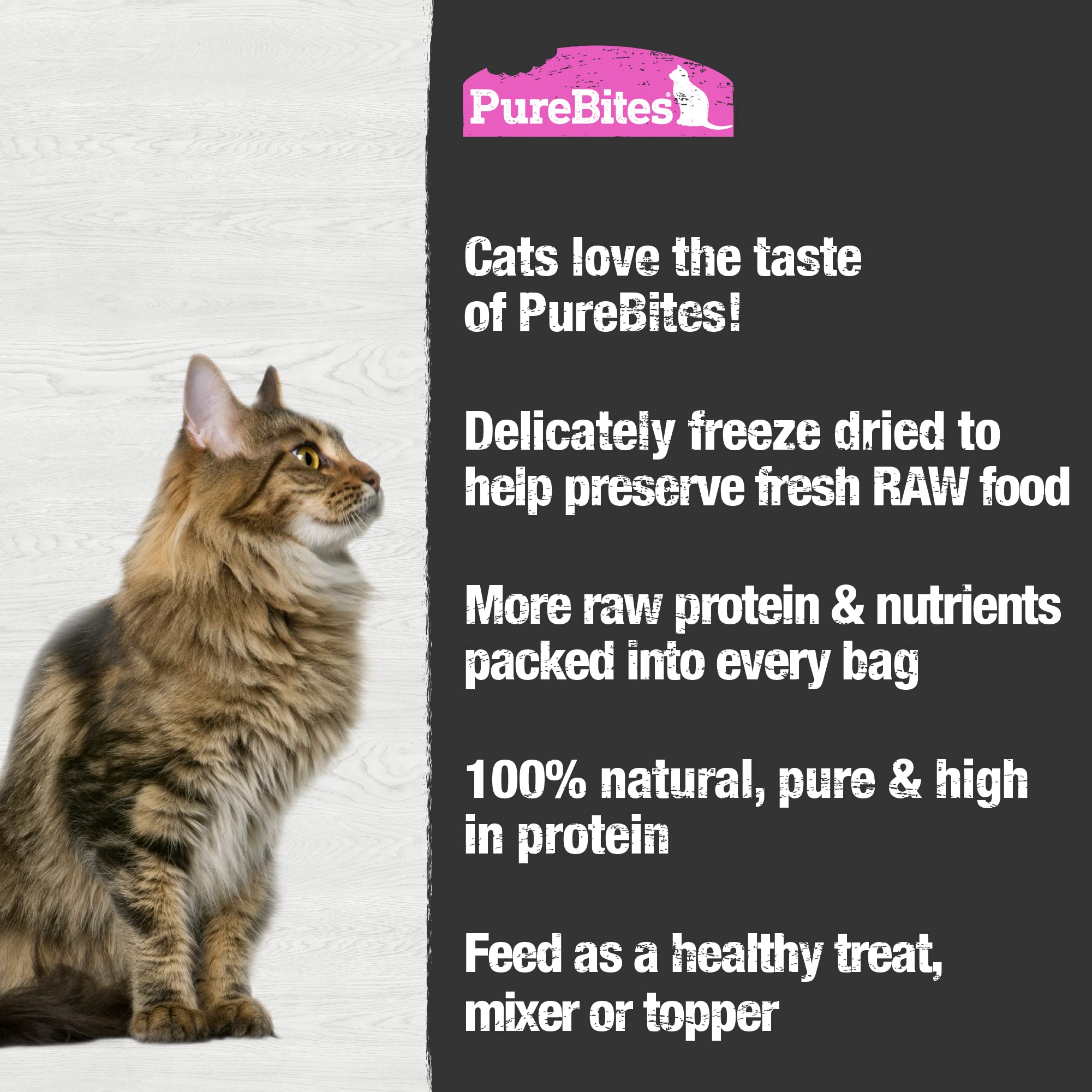 PureBites freeze-dried salmon cat treats jar front shows convenient jumbo pack
