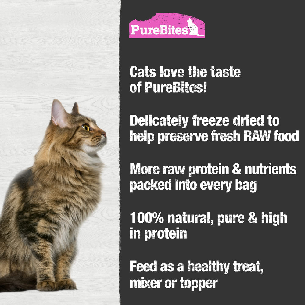 PureBites freeze-dried salmon cat treats jar front shows convenient jumbo pack