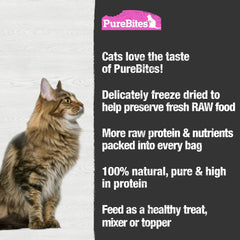 PureBites freeze-dried salmon cat treats jar front shows convenient jumbo pack